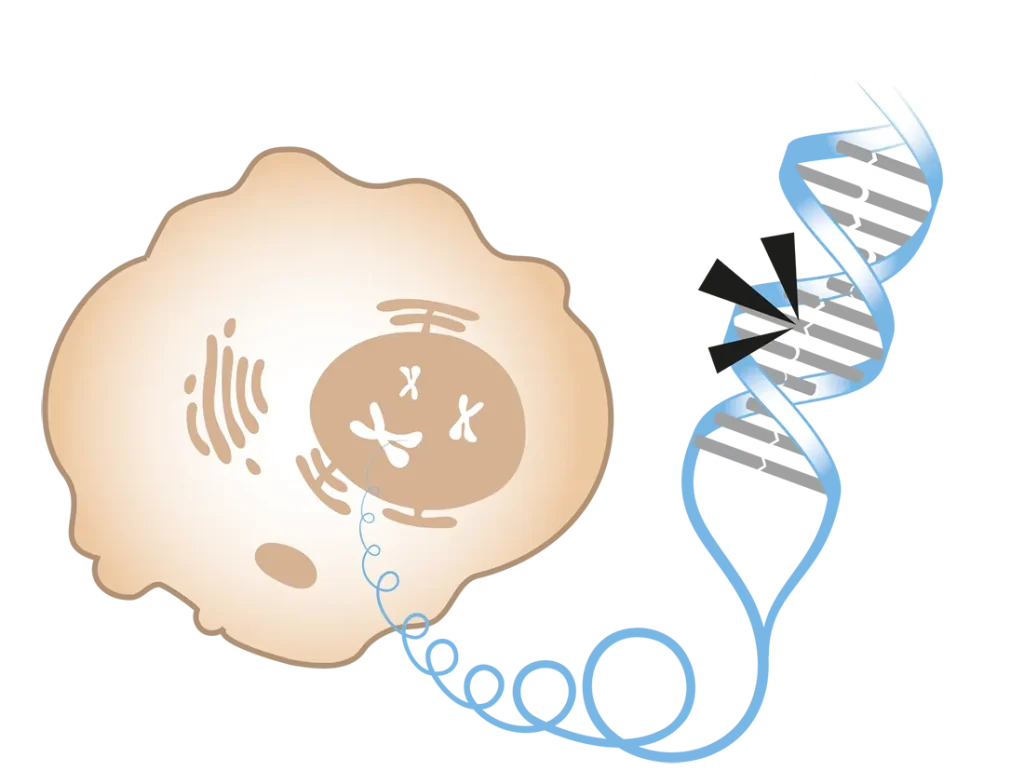 DNA-sträng